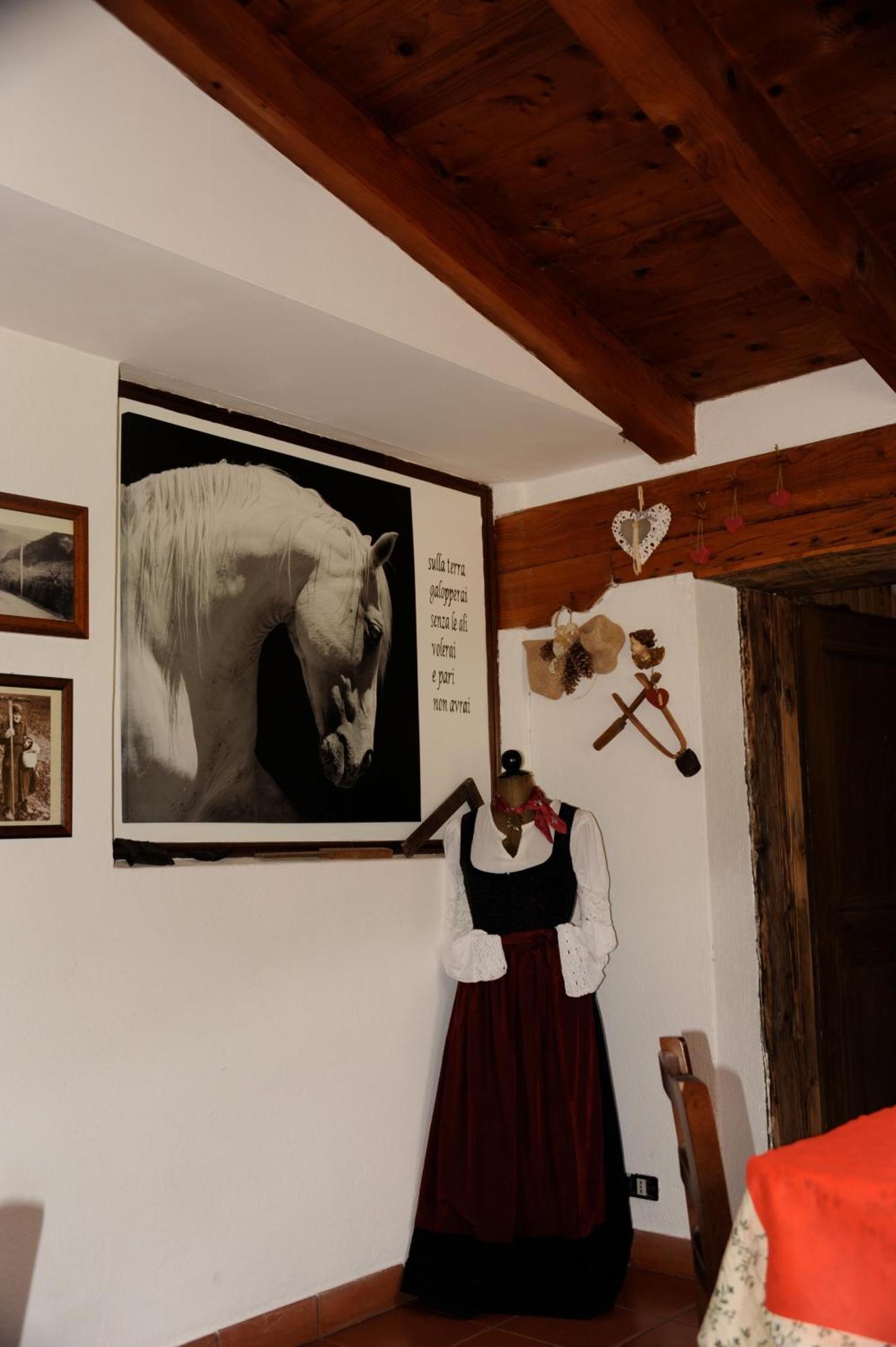 Agriturismo Randis Piano dʼArta Dış mekan fotoğraf