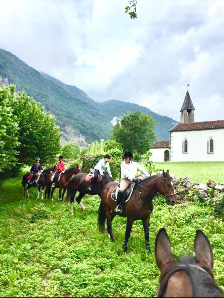 Agriturismo Randis Piano dʼArta Dış mekan fotoğraf